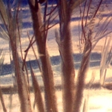 Первый снег 2016