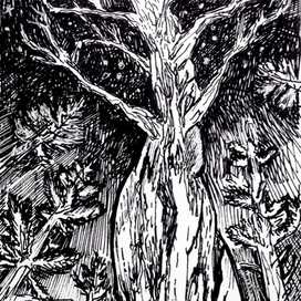 Прямо в космос