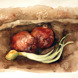 Гранат и лук