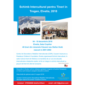 Intercultural exchange poster