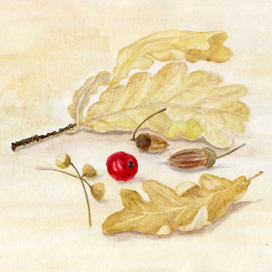 Осенние листья 