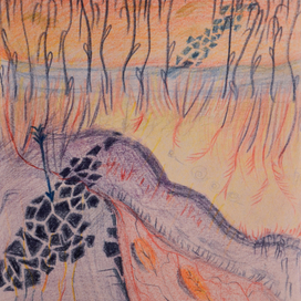 Хоженые тропы