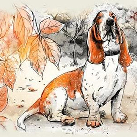 В ОСЕННЕМ ПАРКЕ