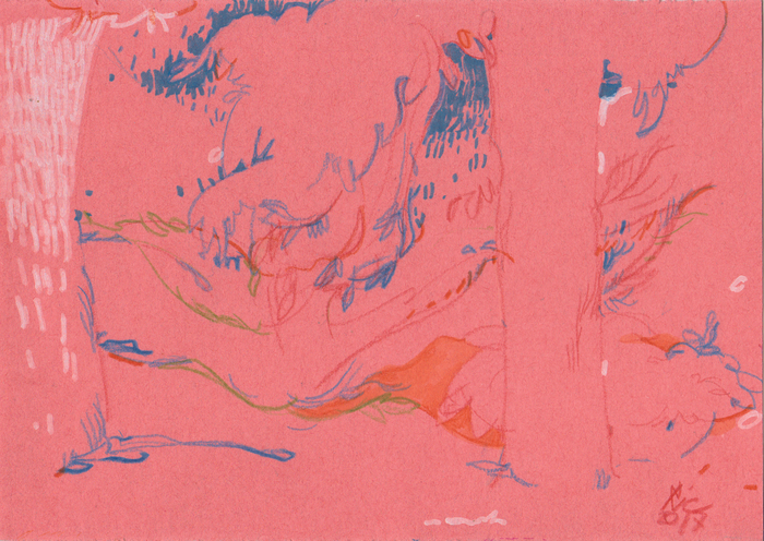 Ландшафт и хвоя.