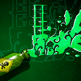 К статье "Какие вещества в вашем доме вредны для здоровья?"