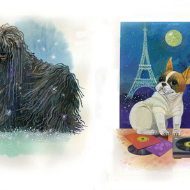Собака: лохматая и гладкошерстная. Иллюстрация к книге Ю. Солодкина "Собаки"