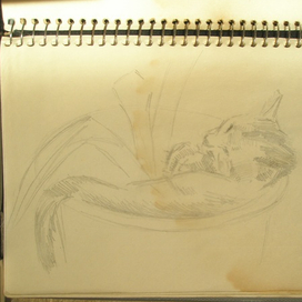 Набросок 41.