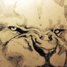 морда льва. набросок