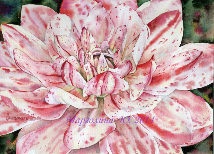 Георгин "в пёстром"