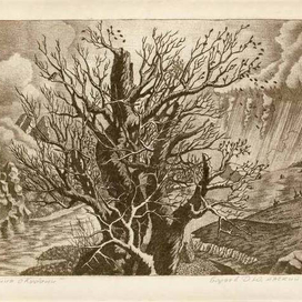 Размышления о Кубани №4