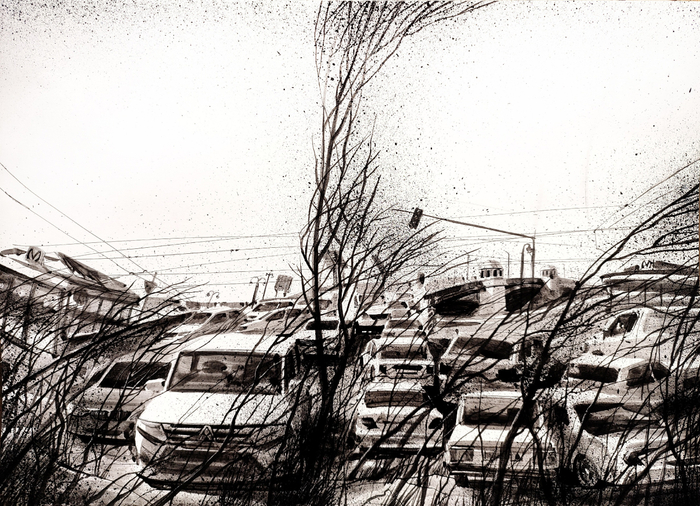 Прорастание флоры