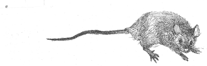 Преступление и наказание. Заставка