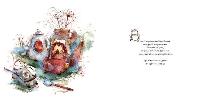 иллюстрация к книге "Мама Шамана рассыпает соль"