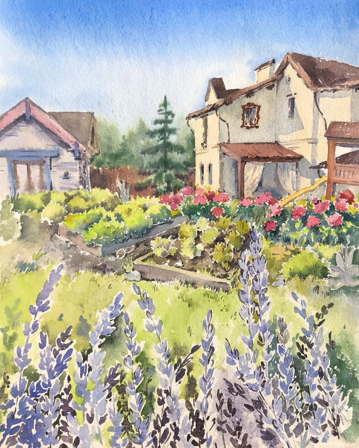 Дом с лавандой и пионами