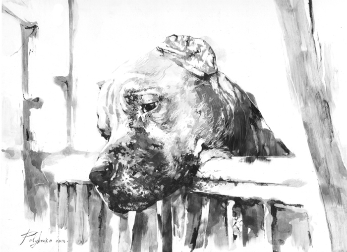 Просто собака