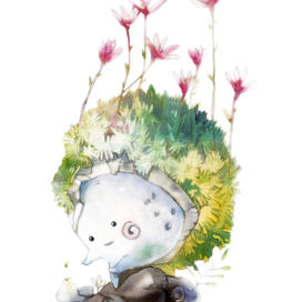 Камнеломка