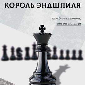 Обложка шахматной книги