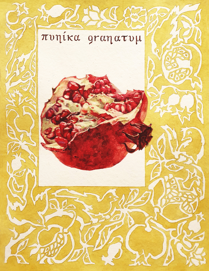 Гранат-фрукт