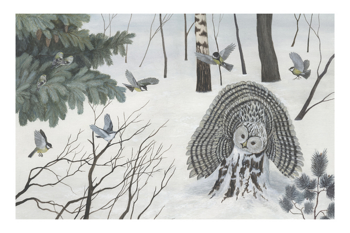 Лесные разведчики