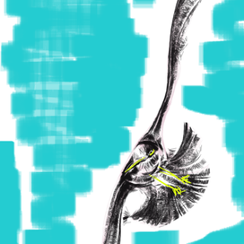 Чайка в полете