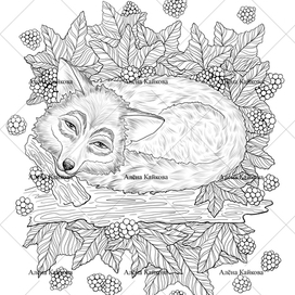 Раскраска "Морошка и лиса"