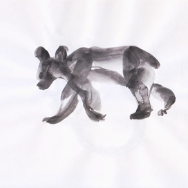 медвежонок