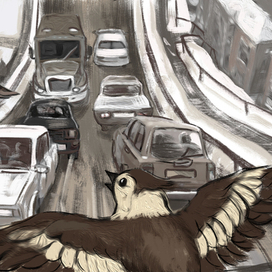 Хлебное место 