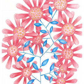 Ромашки-дурачки