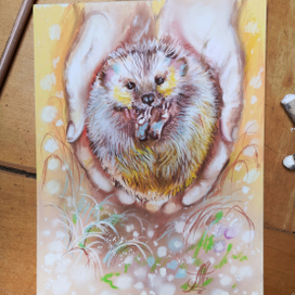 Мой милый ежик