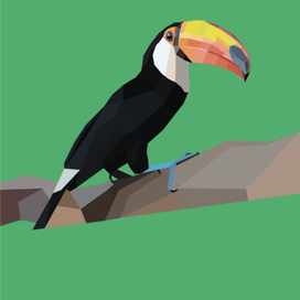 Тукан ждёт снимок