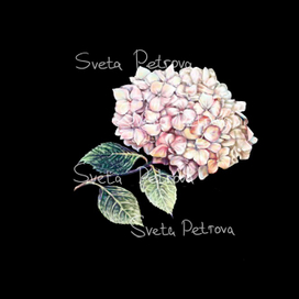 фрагмент бесшовного паттерна 5000х5000 360ppi