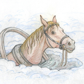 Зорька тонет!