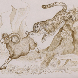 Похоже, промахнулся)))