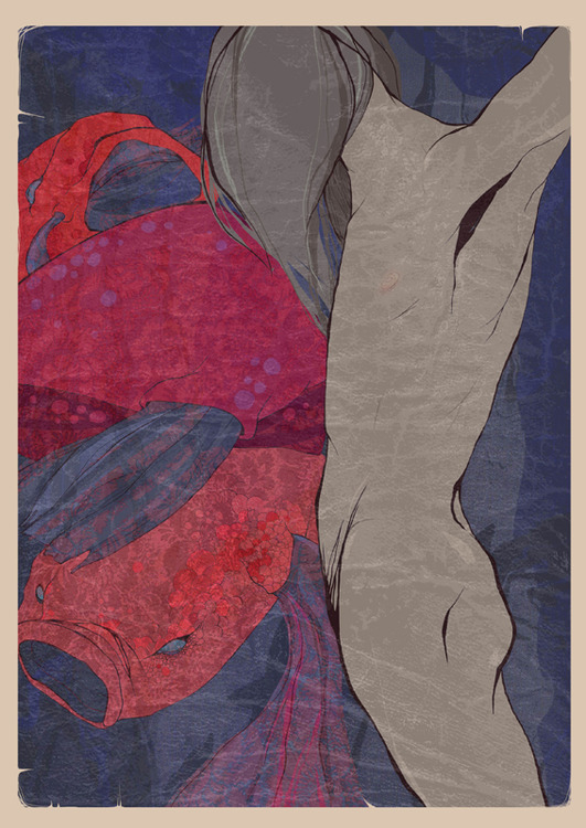 бойцовые рыбы