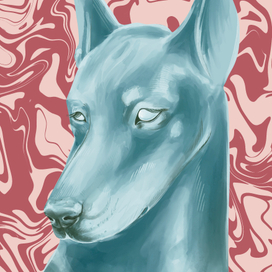 Иллюстрации к настольной карточной игре