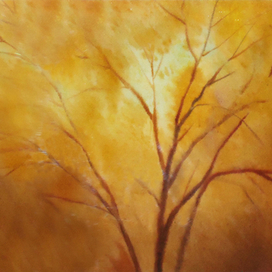 Осенние клены