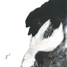 Сны. Ли Юнас "Волшебная рыба"