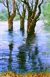 ,,Весеннее отражение.Разлив р.Десны,,