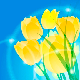 Yellow Tulips