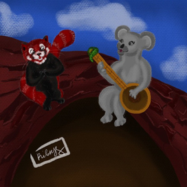 Приключения коалы Клиффа 🐨 