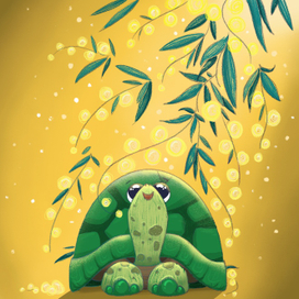 Солнечная мимоза