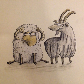 козёл и баран