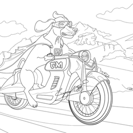 Гипертакса МАКС