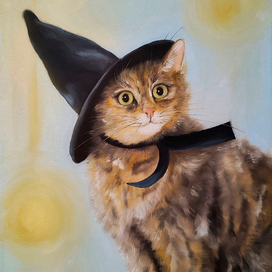 Волшебство в колпаке. Кошка