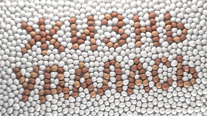 Несколько десятков спустя