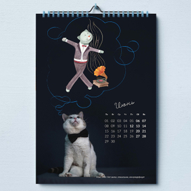 О чем мечтают кошки?