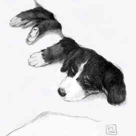 Графика. Оригинал.