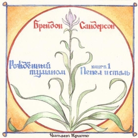 Аудиодиск "Пепел и сталь" Сандерсона Брендона