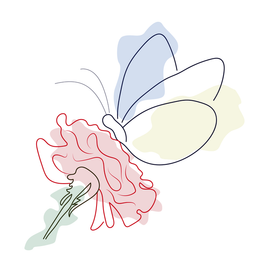 Бабочка на розе