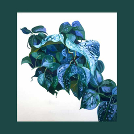 Листья сирени